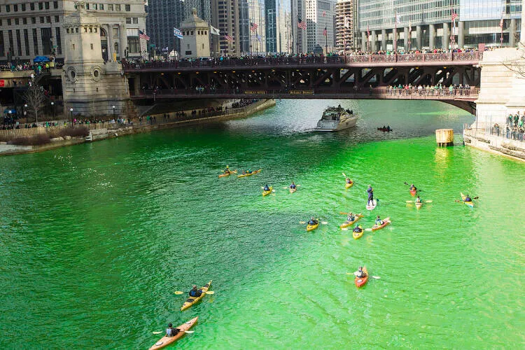 Chicago St. Patrick's Day 2015 Image