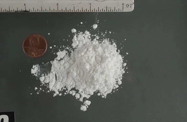 Cocaine Hydrochloride Powder Image