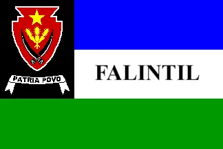 Flag of FALINTIL (East Timor) - image