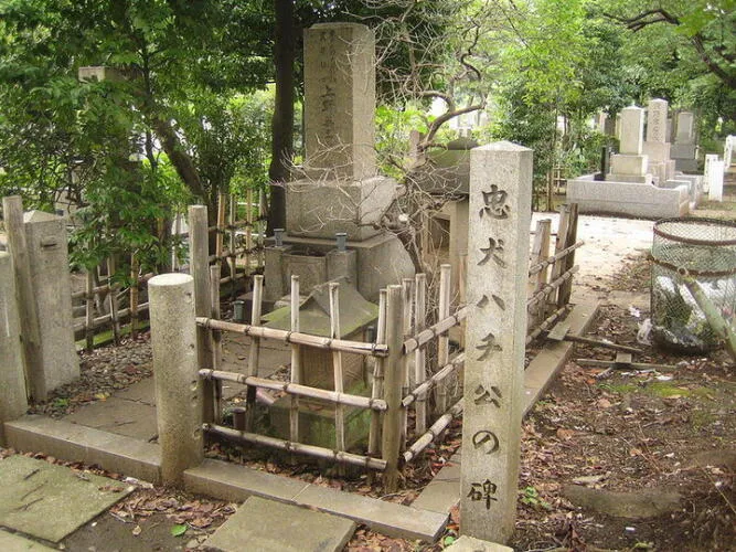 Hachiko's grave in the Aoyama cemetery, Minatoku, Tokyo, Japan Image