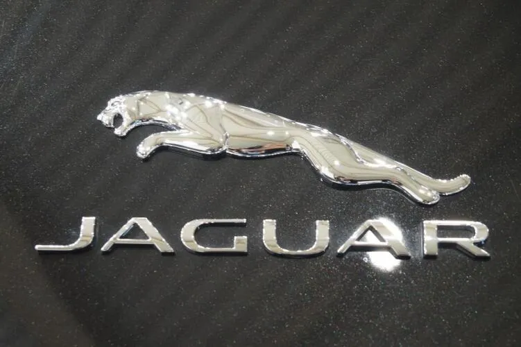 Jaguar Logo - image