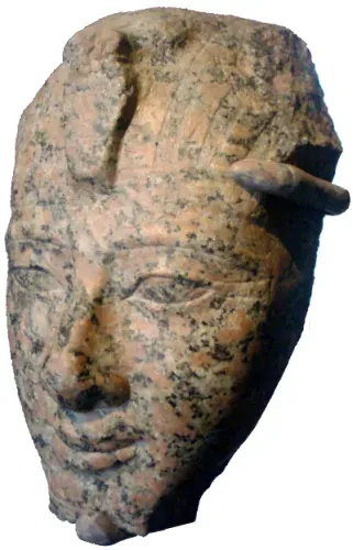Large statue head of Amenhotep II