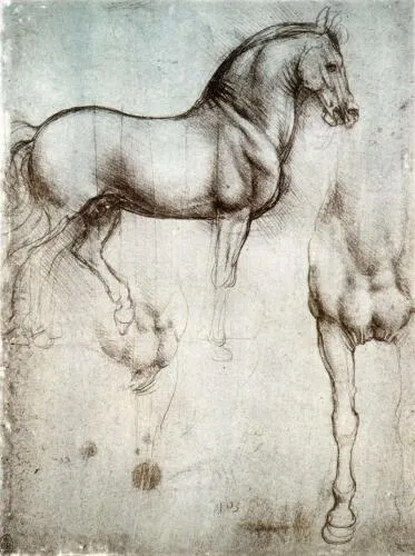 Leonardo da Vinci's study in silverpoint for The Horse