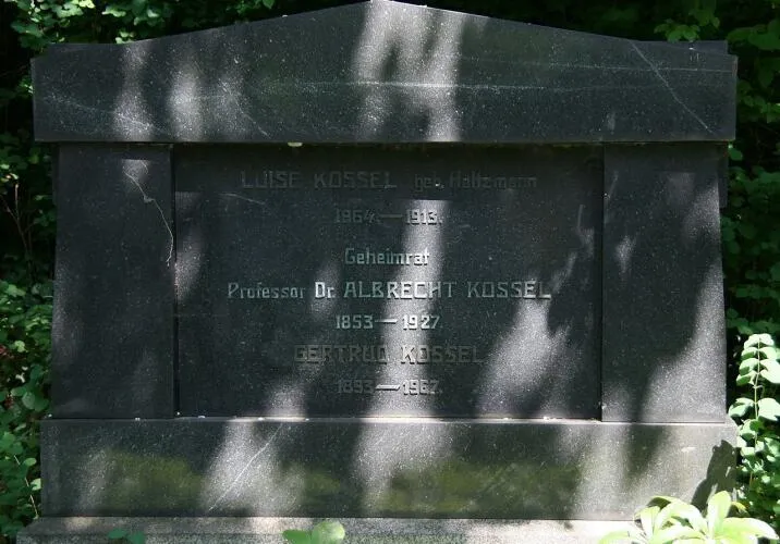 Luise's grave