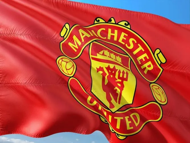 Manchester United F.C.  Flag - image