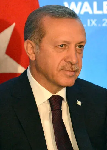 President of Turkey Recep Tayyip Erdoğan in 2014 - image