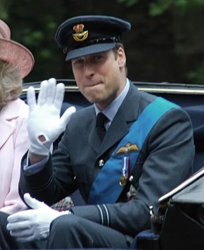 Prince William of Wales RAF Image