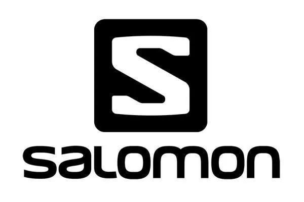 Salomon Group Logo - image