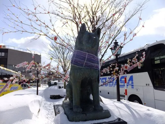 Statue of Hachiko at Odate Station Image