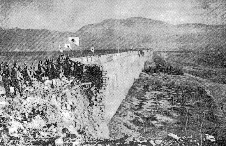 The Battle of Nanjing Image