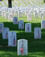 Graves at Arlington on Memorial Day Image