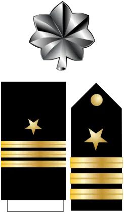 Collar, shoulder, and sleeve rank insignia for a Commander in the U.S. Navy - image