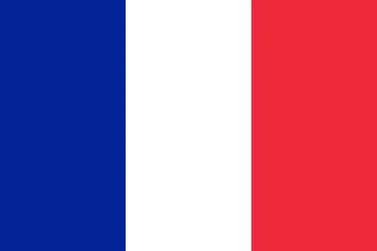 Flag of France - image