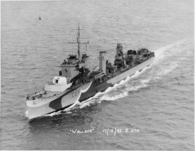 HMS Wallace (1918)