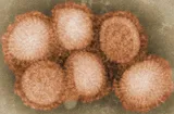 H1N1 navbox Image