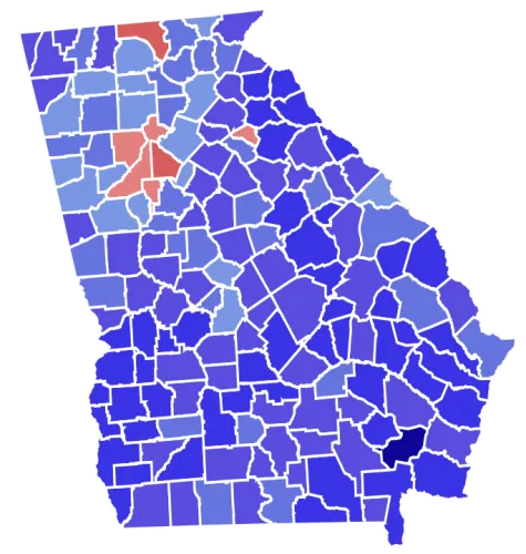 1970 Georgia Gubernatorial Election Image