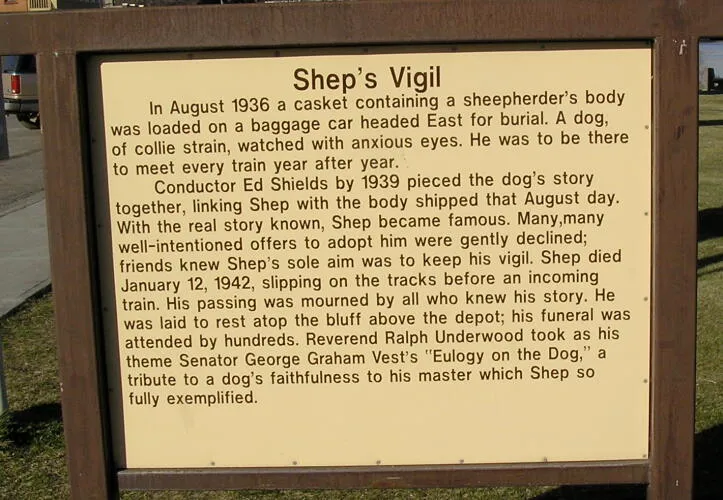 Historical marker sign by Shep statue, Fort Benton, Montana