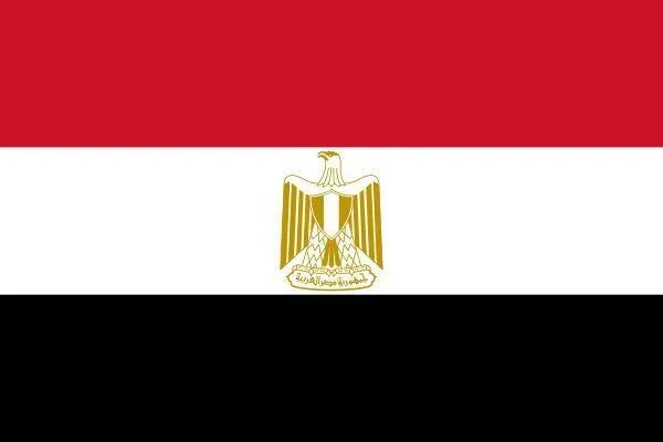 Flag of Egypt - image