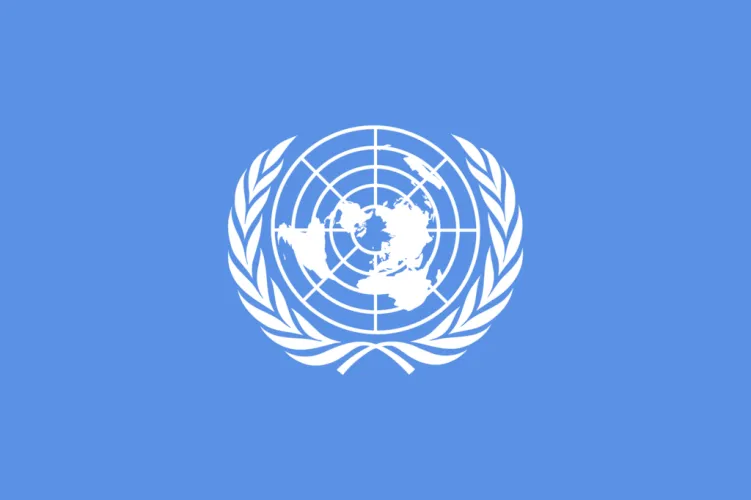 Flag of the United Nations - image
