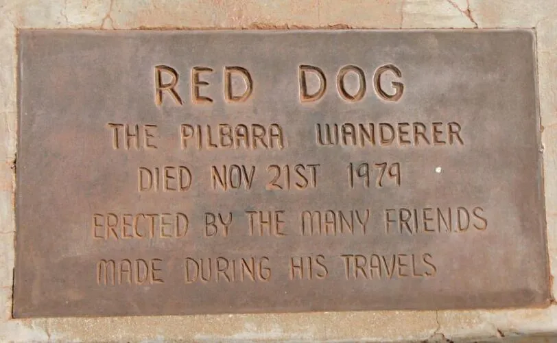 The Pilbara Wanderer