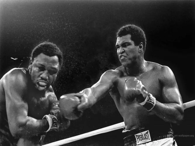 Mohammad Ali fighting Joe Frazier Image